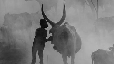 Τον Αύγουστο το 6ο Chania International Photo Festival