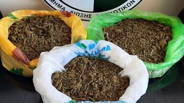 Πλούσια... η σοδειά της Δίωξης Ναρκωτικών