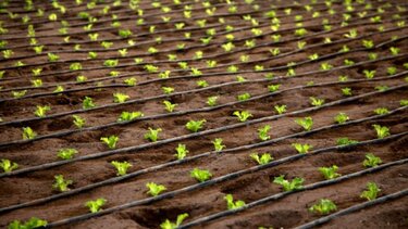 Δήμος Μινώα: Αναρτήθηκαν οι κατάλογοι άρδευσης και περιβαλλοντικού τέλους