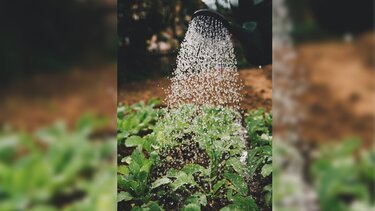 «Μας κόβουν το νερό» καταγγέλλουν σε οικισμούς του Ηρακλείου- Τι απαντά η ΔΕΥΑΗ