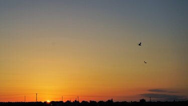 Τα χρώματα της καλοκαιρινής αυγής