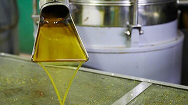 «Έκανε φτερά», από αποθήκη, μισός τόνος ελαιολάδου