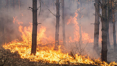 Σε ύφεση οι φωτιές στο Ρέθυμνο
