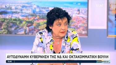 Λ. Κανέλλη για Κασιδιάρη: «Κλεινόταν στον καμπινέ για να μην πάει αυτόφωρο και το παίζει αντισυστημικός»