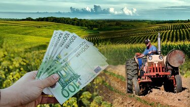 ΚΑΠ: Πώς θα ενισχυθούν οι παραγωγοί ανά καλλιέργεια για τη βιολογική γεωργία – κτηνοτροφία