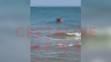 Ήρθαν… υπερβολικά κοντά, μέσα στη θάλασσα, μπροστά στα μάτια μικρών και μεγάλων