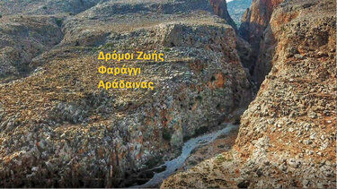 Στην Αράδαινα οι "Δρόμοι Ζωής"