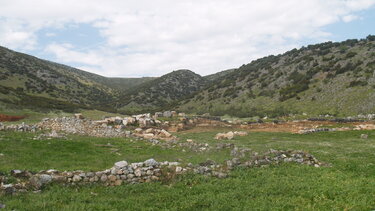 Δημητριακά, όσπρια, φρούτα, άγριους καρπούς και χόρτα στο νεολιθικό διαιτολόγιο στην περιοχή των Τρικάλων