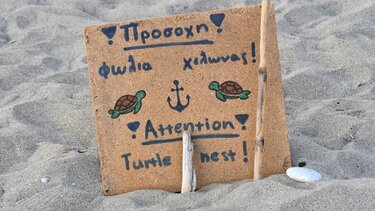 1η φωλιά χελώνας καρέτα-καρέτα στην Κρήτη!