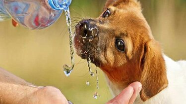 Δικαίωμα τους αλλά και υποχρέωση μας!