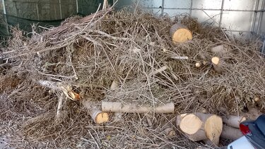 Εστία πυρκαγιάς δίπλα στον Άγιο Μηνά