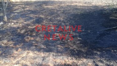 Μεγάλη κινητοποίηση για φωτιά στο Νιπιδιτό!