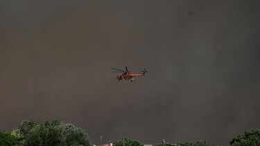 Δύο υπερήλικες εγκλωβίστηκαν στο Λαγονήσι, λόγω της φωτιάς