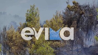 Υπό μερικό έλεγχο η φωτιά κοντά στο μοναστήρι του Αγίου Γεωργίου Αρμά στην Εύβοια