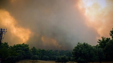 Μάχη με τις φλόγες σε Ρόδο, Αίγιο, Κάρυστο, Αργολίδα, Βοιωτία και Μαγνησία