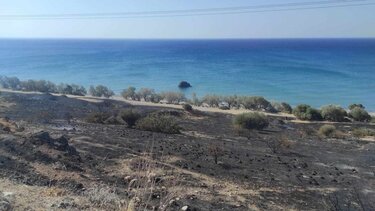 Μεγάλη φωτιά στο Καστρί Βιάννου