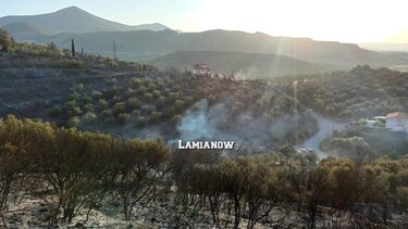Λαμία : “Καπνίζουν” ακόμη Αφανός, Νέα Μαγνησία – σήμερα οι καταγραφές για τις καταστροφές