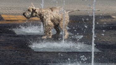«Θερμικός θόλος» πάνω από την Ευρώπη – Περιοχές της Κρήτης "φλέρταραν" με 40αρια