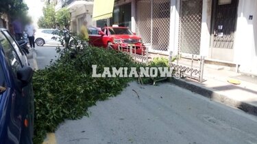 Για να γλιτώσει την σύγκρουση έπεσε σε κολώνα και δέντρο