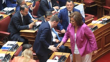 "Η βουλή δεν είναι τσίρκο": Η σιβυλλική δήλωση της Ντόρας Μπακογιάννη