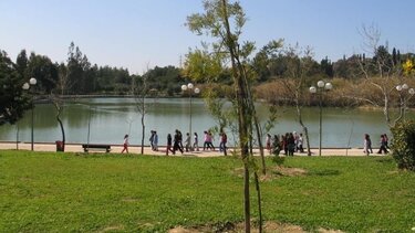 Κλειστά από σήμερα το Πάρκο Τρίτση, το Πεδίον του Άρεως, ο Λόφος Φινοπούλου και το Αττικό Άλσος