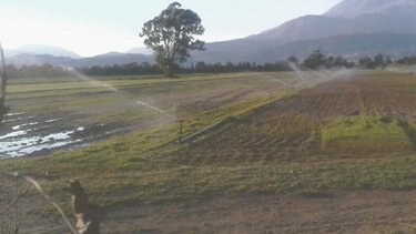 124 εκατ. ευρώ για εγγειοβελτιωτικά έργα – Πρόσκληση για την υποβολή προτάσεων