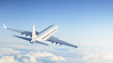 Ιαπωνία: Μεθυσμένος επιβάτης δάγκωσε αεροσυνοδό εν πτήσει