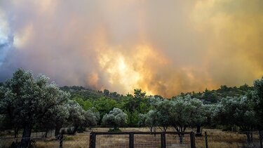 Ανεξέλεγκτη σε τρία μέτωπα μαίνεται η πυρκαγιά στη Ρόδο
