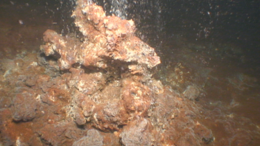 Πολύπλοκα μικρόβια εντοπίστηκαν στο υποθαλάσσιο ηφαίστειο του Κολούμπου στη Σαντορίνη 