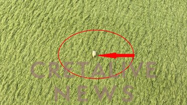 Συνεχίζονται οι έρευνες για την "αδέσποτη" σφαίρα στο γήπεδο