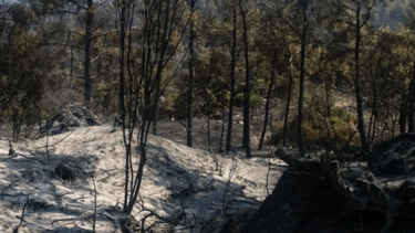 Ρόδος: Σοβαρές αναζωπυρώσεις