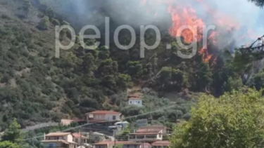 Μεγάλη φωτιά στην Μαμουσιά Αιγίου – Κινείται προς Αγία Ειρήνη και Ζαχλωρίτικα