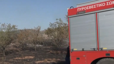 Ανεξέλεγκτη η φωτιά στη Νέα Αγχίαλο - Νέα αναζωπύρωση στη Λαμία - Βελτιωμένη η κατάσταση στον Ασπρόπυργο