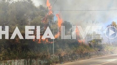 Φωτιά στην Ηλεία: Μήνυμα του 112 – «Απομακρυνθείτε προς Αρχαία Ολυμπία»