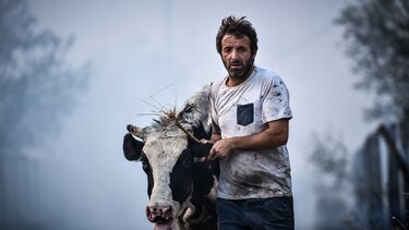 Μαίνεται η φωτιά στη Μαγνησία: Σε 8 περιοχές ήχησε το 112 τα ξημερώματα