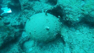 Απίστευτο θέαμα στον Πατραϊκό: Πιάστηκε στα δίκτυα ψαράδων νάρκη του Β' ΠΠ