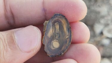 Βρήκε άγια μορφή σε πέτρα