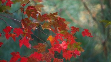 Το Τμήμα Αιμοδοσίας του ΠΑΓΝΗ για την Παγκόσμια Ημέρα Αιμοδότη