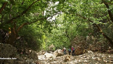 Πεζοπορία στον Στύλο Αποκορώνου και το Φαράγγι του Δικτάμου για τους "Δρόμους Ζωής"