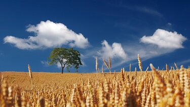 Πρόσκαιρες νεφώσεις το Σάββατο στην Κρήτη