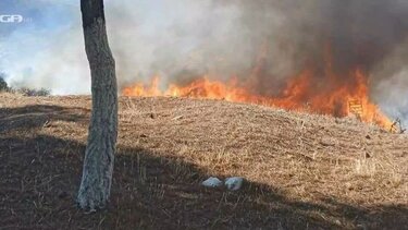  Φωτιά στη Βοιωτία: Νεκρός ένας κτηνοτρόφος