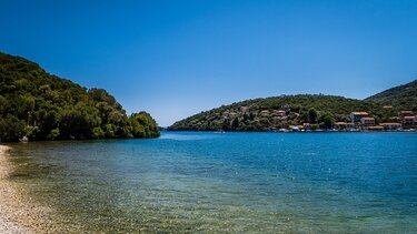 Πεύκο έπεσε μέσα στη θάλασσα στο Περιγιάλι Λευκάδας