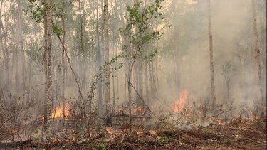 Χιλιάδες άνθρωποι απομακρύνθηκαν εξαιτίας των πυρκαγιών στον Καναδά