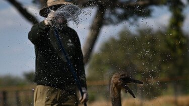 Κύμα καύσωνα εν μέσω χειμώνα πλήττει τη Βραζιλία