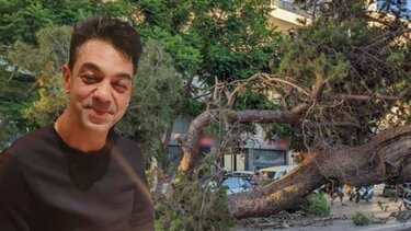 Φονικό πεύκο στο Ηράκλειο: Ένα χρόνο μετά, το CRETALIVE ανοίγει το φάκελο μιας μαύρης μέρας για την πόλη