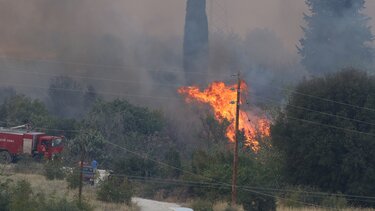 Βροχόπτωση περιόρισε τις εστίες φωτιάς στην Καβάλα