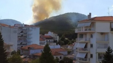 Τρίπολη: Φωτιά σε δασική περιοχή  πίσω από το Παναρκαδικό Νοσοκομείο