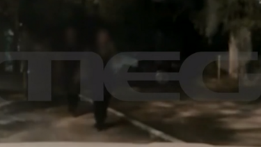 Καρέ-καρέ η σύλληψη 39χρονου που ξυλοκόπησε άγρια τη σύντροφό του!