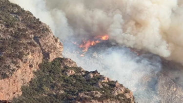 Φωτιά στη Βοιωτία: Νέο μέτωπο στον Ταρσό -Μήνυμα του 112