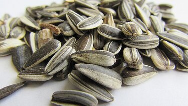 Ηλιόσποροι και γονιμότητα: Η διατροφική τους αξία και τα οφέλη